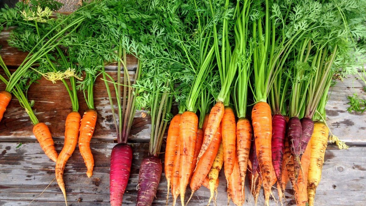 20 tipp hogyan fogyassz több zöldséget és gyümölcsöt